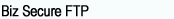 High Bandwidth server,multiple ftp Level,Linux Hosting,Cpanel Control Panel,Secured ftp Servers,Firewall,Antivirus