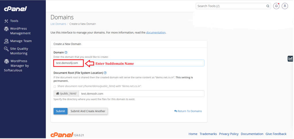 3. Enter Subdomain Name