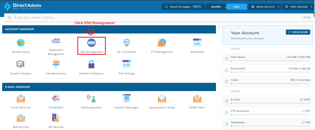 1. Click DNS Management