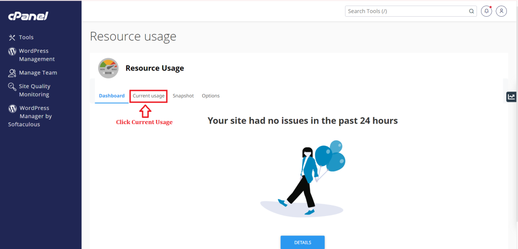 2. Click Current Usage