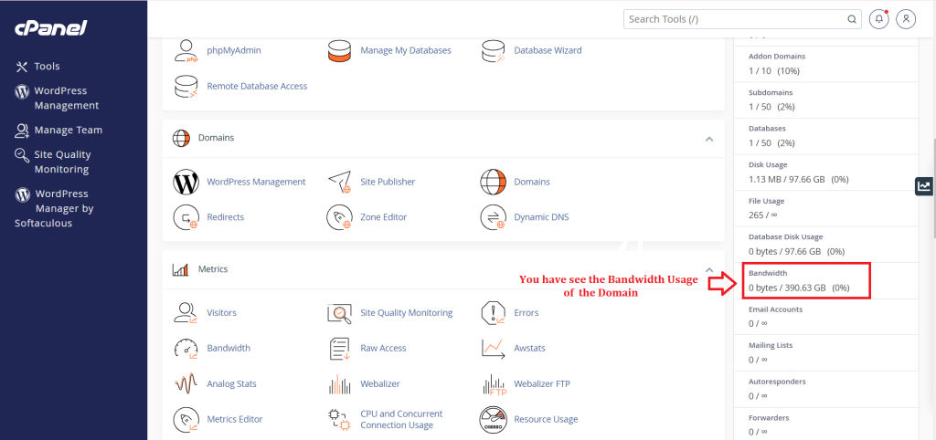 2. You have see the Bandwidth Usage of the Domain