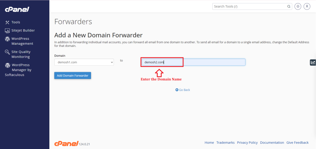 3. Enter the Domain Name