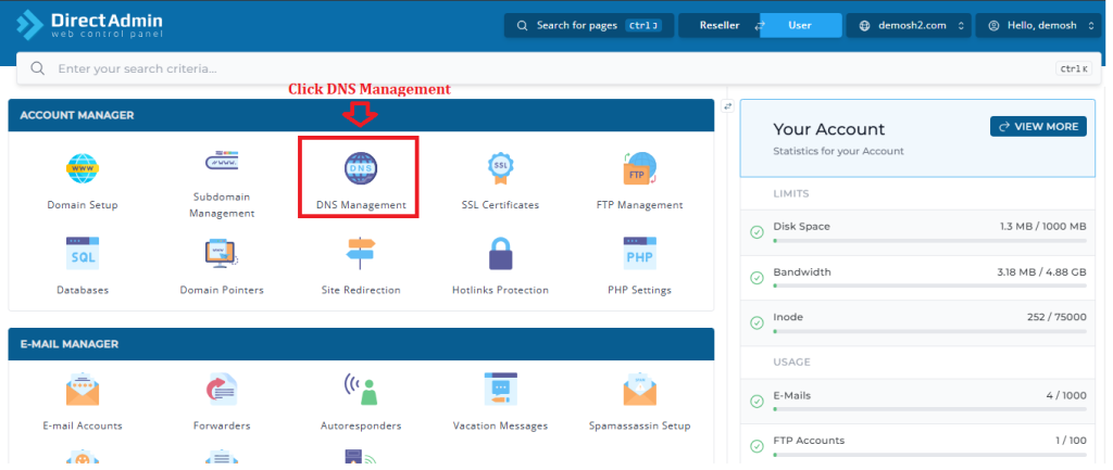 Click on DNS Management