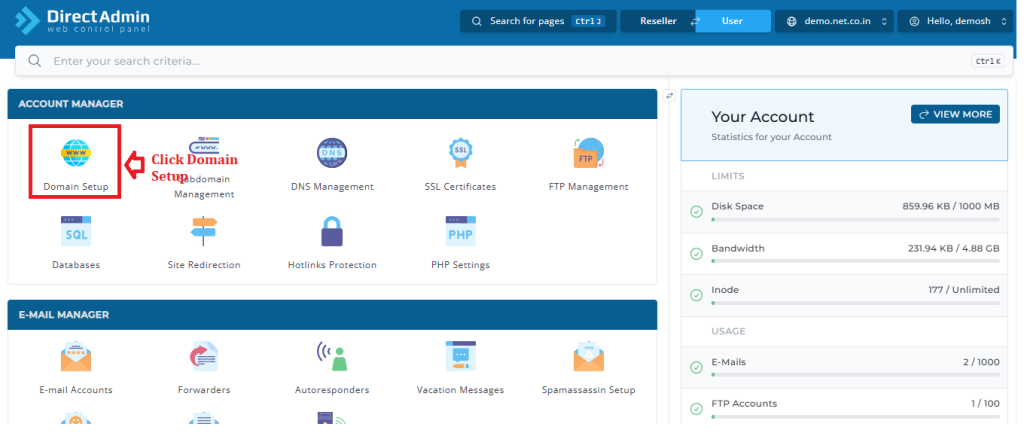 Click on Domain Setup