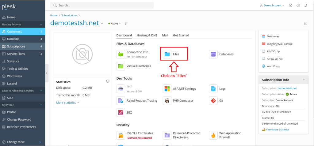 3. Click on Files